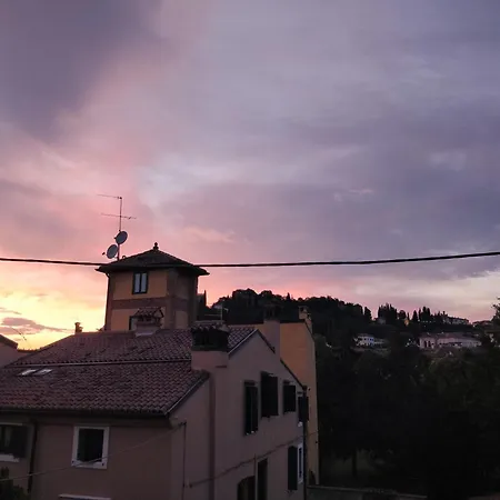 Scusari